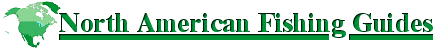 north american fishing guides logo