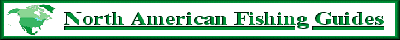 north american fishing guides